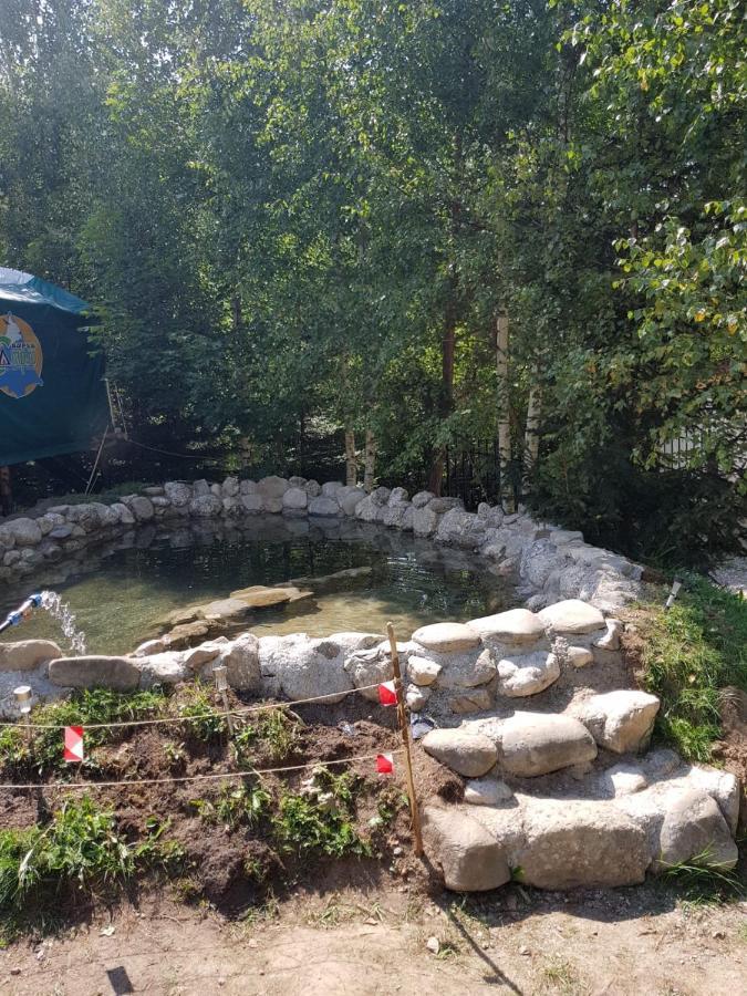 Vila Colt De Rai Hotell Rîşnov Exteriör bild