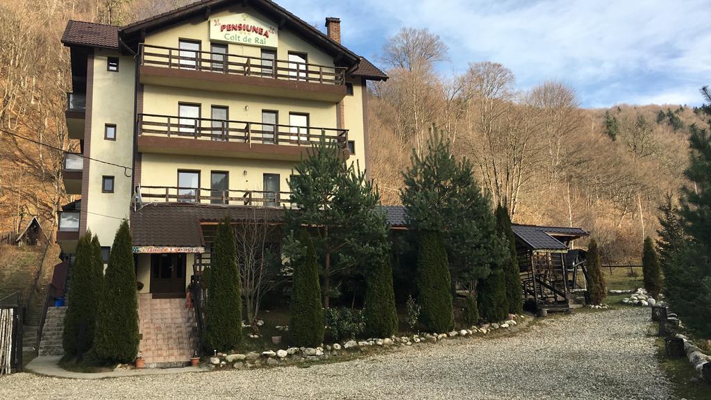 Vila Colt De Rai Hotell Rîşnov Exteriör bild
